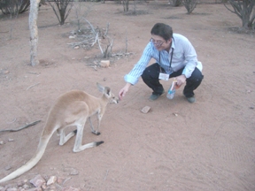 kangaru.jpg