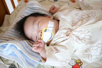 熱心な 小売 犯人 おしゃぶり 外れる Alcado Jp