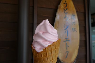 コケモモソフト
