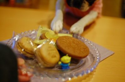 ダメだって…