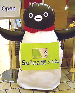 スイカペンギン シェフ
