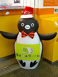 スイカペンギン クリスマスバージョン
