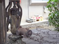 幕末古写真 井戸 元画像