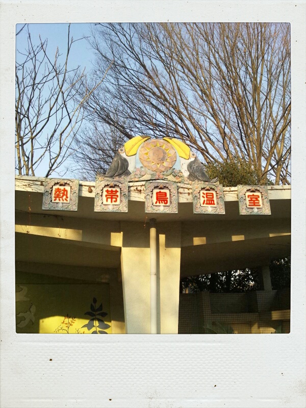 井の頭文化園の熱帯鳥温室