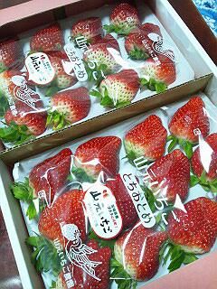 山元いちご農園いちご