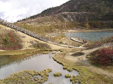 弓池