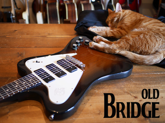 バーニー・ノンリバ ファイヤーバード！ | Guitar Shop Old Bridge Blog