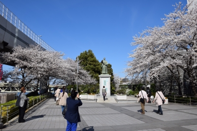 隅田川桜祭り