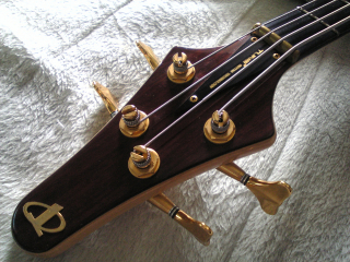 TUNE-Head