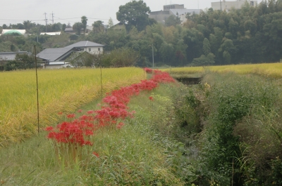 米の山病院