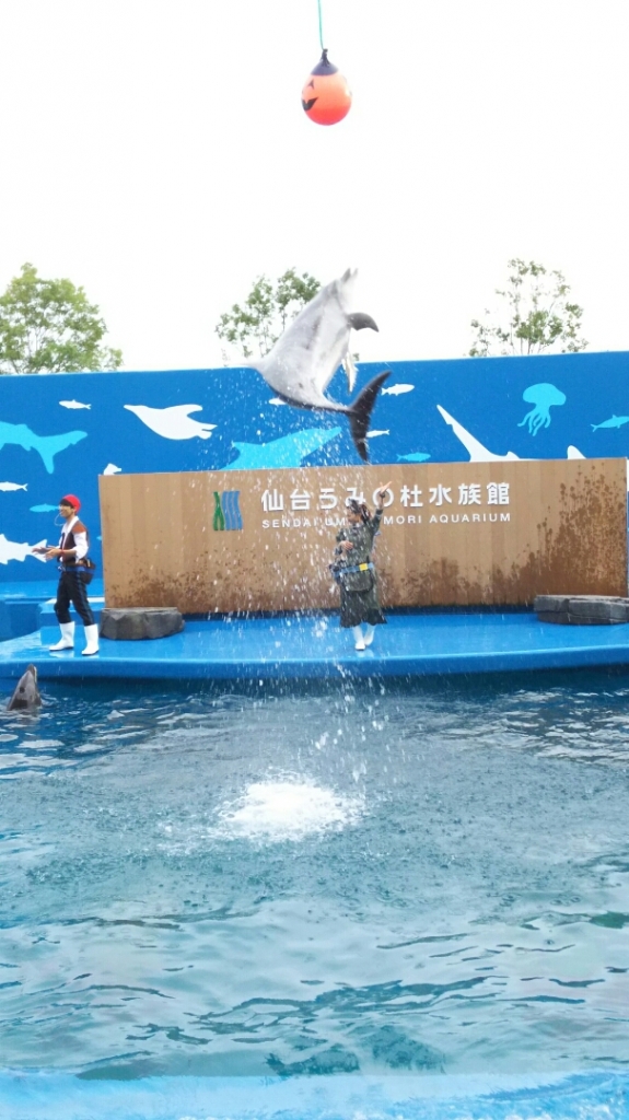 DSC_5160.JPG