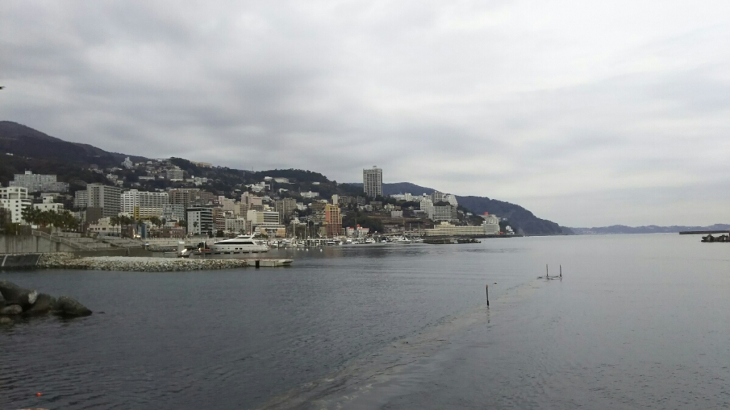 DSC_1341.JPG