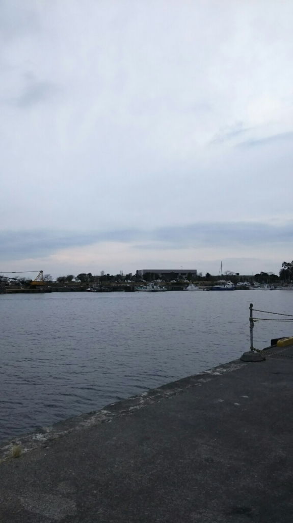 DSC_1350.JPG
