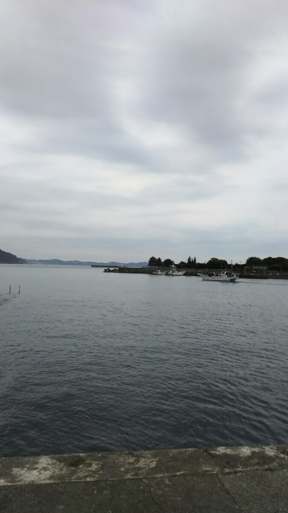 DSC_1352.JPG