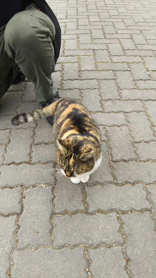 DSC_1413.JPG