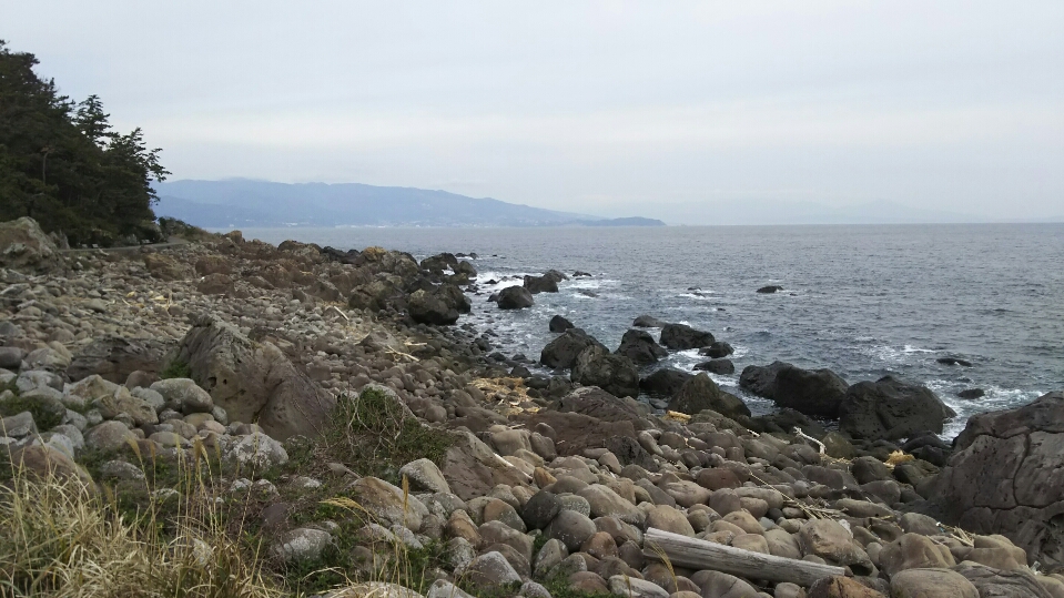 DSC_1444.JPG