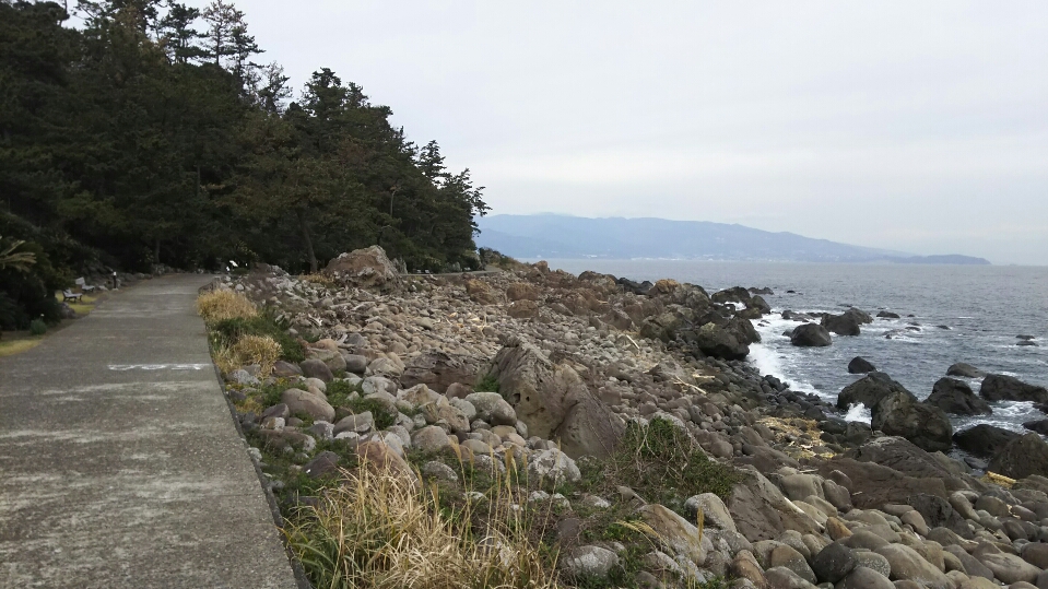 DSC_1445.JPG