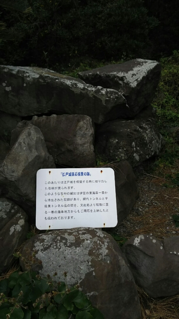 DSC_1450.JPG