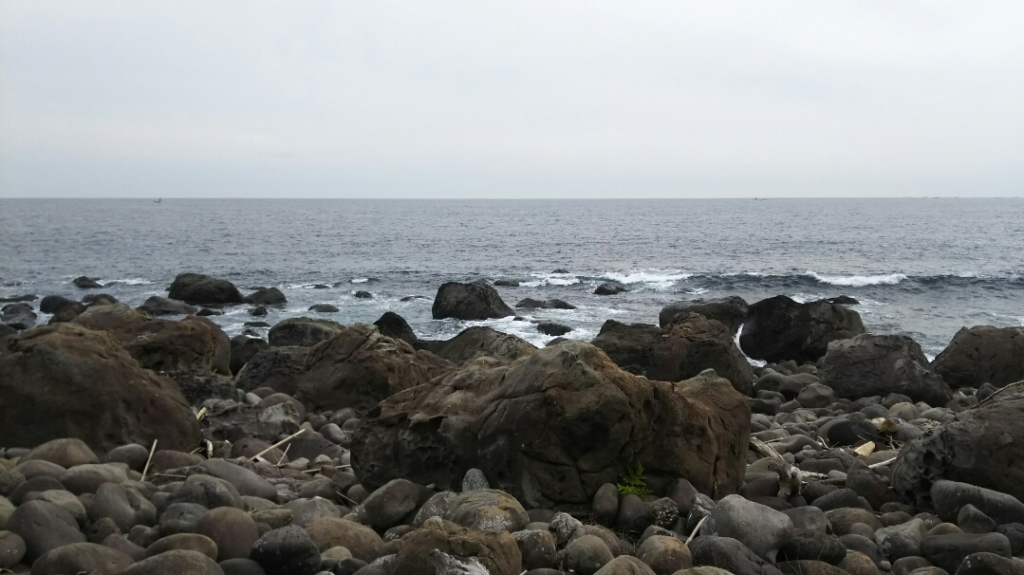 DSC_1453.JPG
