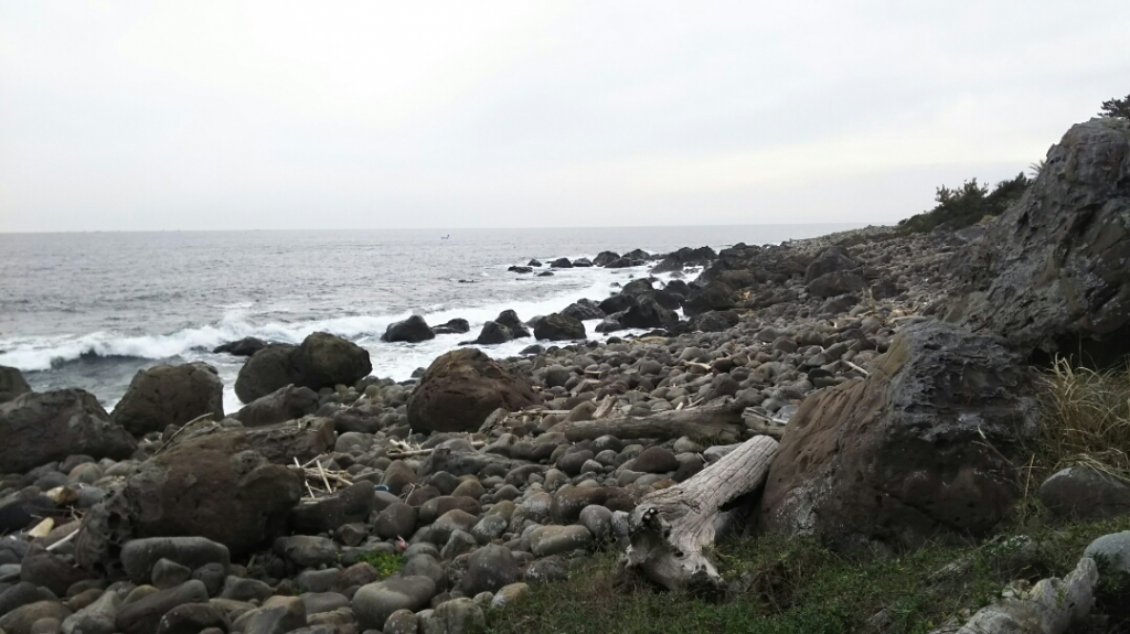DSC_1454.JPG