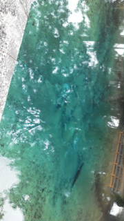 20110618083157.jpg