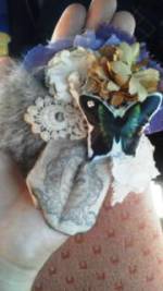 20111117090859.jpg