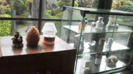 20111123072513.jpg