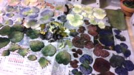 20120119060945.jpg