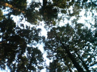 20070408_274308.jpg