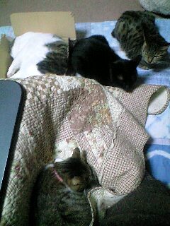 120101_1726~0001.jpg