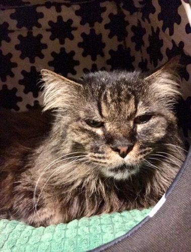 image1.jpeg