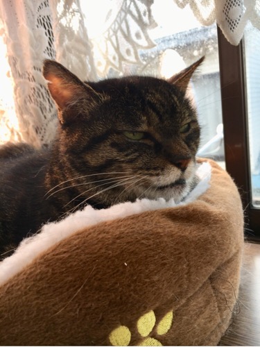 image1.jpeg