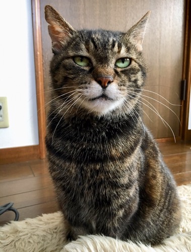 image1.jpeg