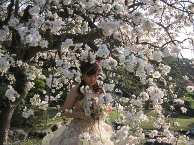 桜