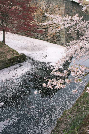 逆さ弘前城