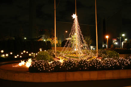 クリスマススター