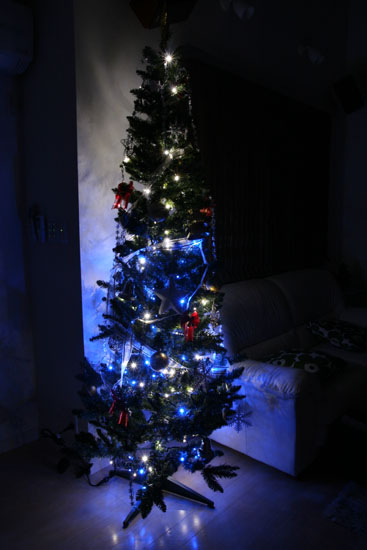 我が家のクリスマスツリー(2)