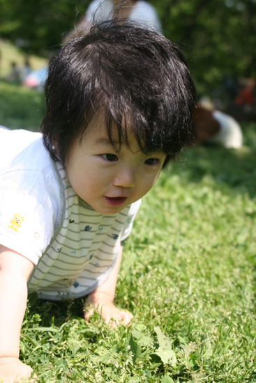 公園でハイハイ