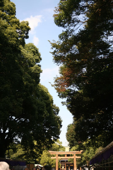 森と空と鳥居