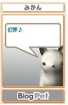 pet