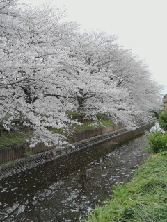 みんなでお勉強しましょ