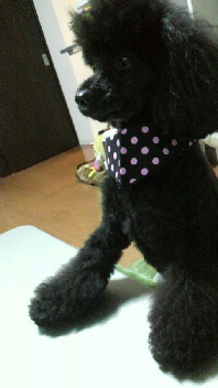 2012030720540001.jpg