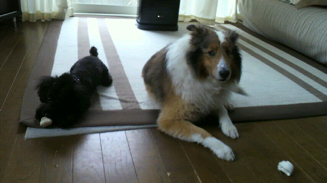 2012031715190000.jpg