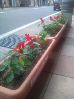 20100607172309.jpg