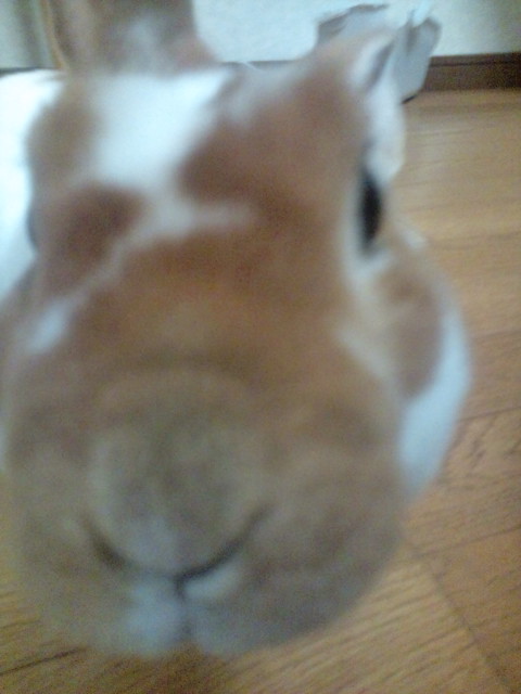 20110102194715.jpg