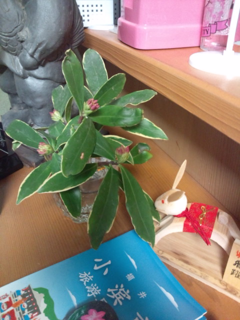 20110122164254.jpg