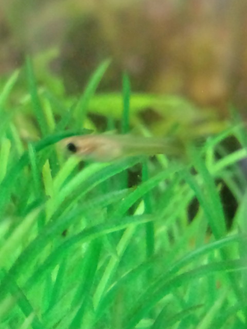 20110225143041.jpg
