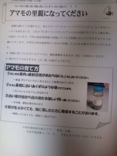 20110312173505.jpg