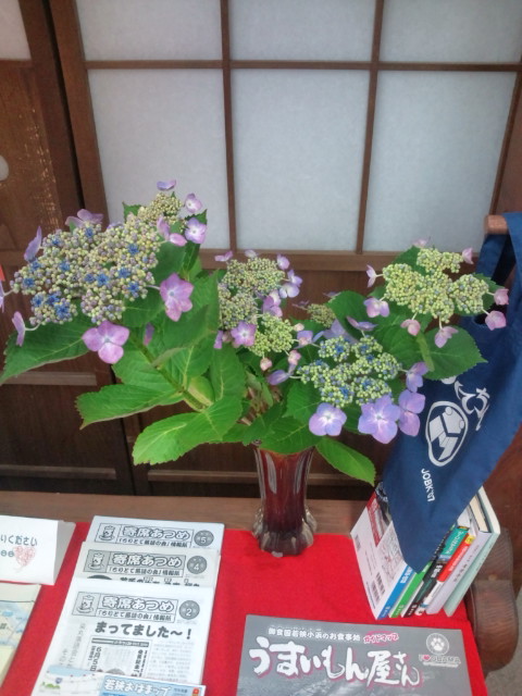 20110620104108.jpg