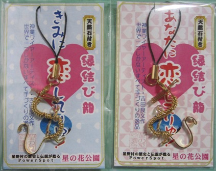 2011.2.1-5.JPG